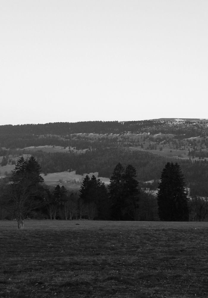 Beratung in Themen die Energieeffizienz, Opitmierung, Projektierung und Strategie betreffen