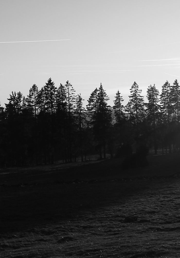 Dekarbonisierungsplan