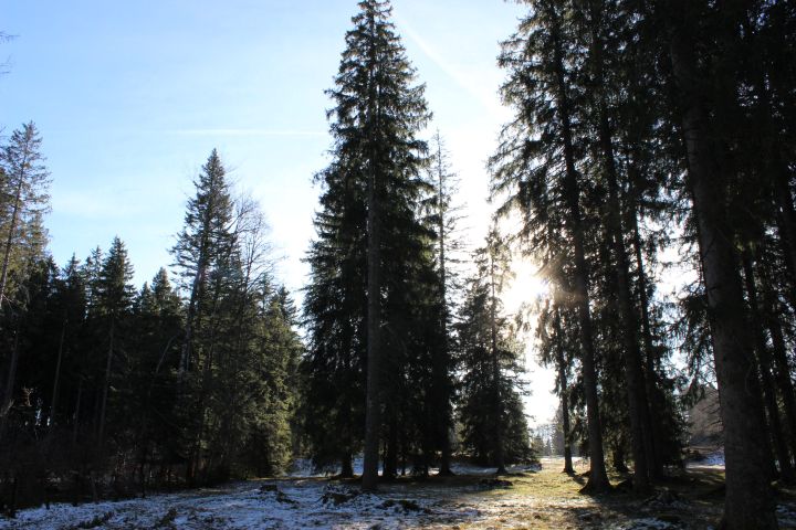 Einsatz für den Umweltschutz