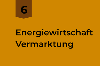 Envico berät Sie, wie sie mehr aus Ihrer PV-Anlage machen können.